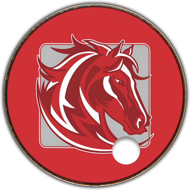 Chippewa Middle School